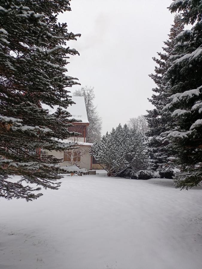 Osrodek Wypoczynkowy Nad Wodospadem Przesieka Bagian luar foto